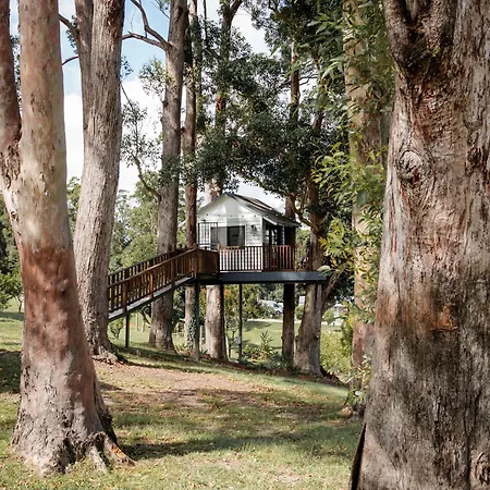 Austinvilla Estate Mudgeeraba Exterior photo